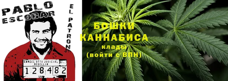 Канабис индика  Любим 